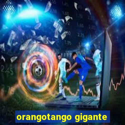 orangotango gigante